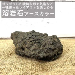 【 石材 】 溶岩石 アースカラー 1個 苔テラリウム 盆栽 テラリウム アクアリウム 苔玉 園芸 インテリア ロックガーデン 通気性 天然石 苔盆栽 ナチュラル 自然