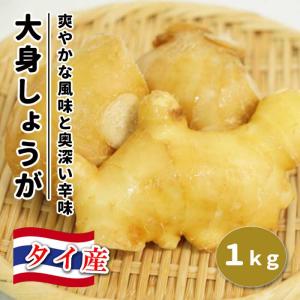 種 生姜 【 タイ産 大身 しょうが お徳用 約1kg 】 種球根 大しょうが ショウガ 薬味 ジンジャー ginger 花の大和