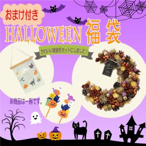 ハロウィン 福袋 おまけ付【 ムーンリース (カラフル)＋ タペストリー ＋ ピック 】 送料無料 ハロウィーン Halloween ギフト プレゼント gift present 花の大和