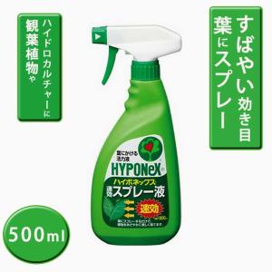 園芸用 ハイポネックス 速効スプレー液500ml...の商品画像