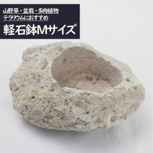 山野草鉢 さつま軽石鉢 3Lサイズ（4号苗用・寄せ植え用） : 園芸ネット