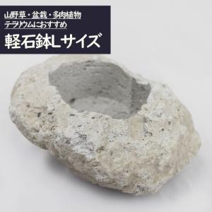 山野草鉢 さつま軽石鉢 3Lサイズ（4号苗用・寄せ植え用） : 園芸ネット