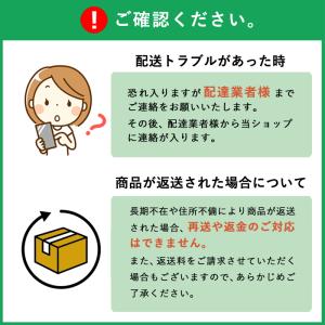 種 生姜 【 大身 しょうが 約180g 50...の詳細画像5