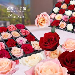 薔薇風呂セット77輪 送料無料 ちょっとリッチにゴージャスバラ風呂