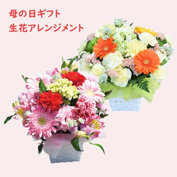 母の日 2025 生花アレンジメント カーネーション ガーベラ 黄綬褒章受章デザイナー監修 おまかせ...