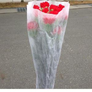 カーネーション切り花赤色;加工用商品です)最低...の詳細画像1