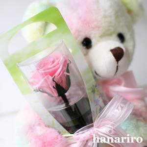虹色クマさんと一輪の薔薇/プリザーブドフラワーの詳細画像2