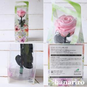 虹色クマさんと一輪の薔薇/プリザーブドフラワーの詳細画像5