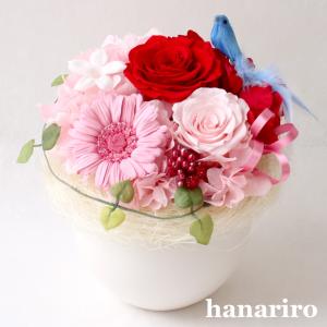 プリザーブドフラワー お祝い 赤 ピンク 結婚祝い 結婚記念日 還暦祝い 開店祝い 誕生日祝い ギフト 送料無料 花【しあわせの青い鳥（赤ピンクＬ）】｜hanariro