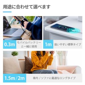 iPhone Type-C USB 充電ケーブ...の詳細画像2