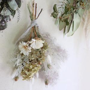 プリティ マーメイド 生花からドライを楽しむミモザスワッグ ミモザ