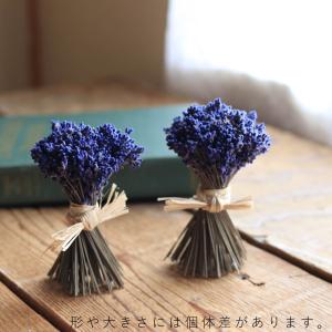 【 数量限定 】 富良野ラベンダースタンドブー...の詳細画像2