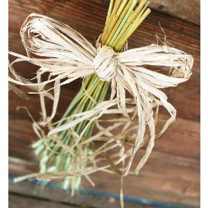 麦のブーケ /ドライフラワーの詳細画像2