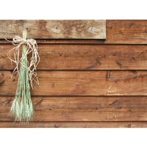 麦のブーケ /ドライフラワーの詳細画像5