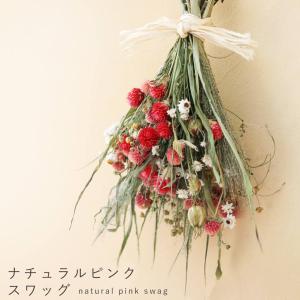 ネイティブフラワー ドライフラワー】グレビレア ゴールドリーフM