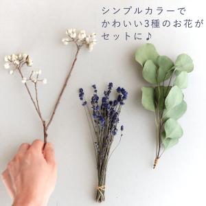 ナチュラルカラー ドライフラワーセット ユーカ...の詳細画像1