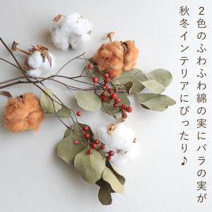 秋冬インテリアに♪ 野バラの実と綿の実がかわい...の詳細画像1