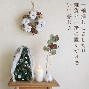 秋冬インテリアに♪ 野バラの実と綿の実がかわい...の詳細画像3