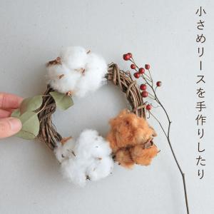 秋冬インテリアに♪ 野バラの実と綿の実がかわい...の詳細画像4