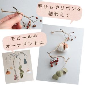 秋冬インテリアに♪ 野バラの実と綿の実がかわい...の詳細画像5