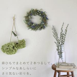 【約直径15〜20cm】アナベル枝つき 中 /...の詳細画像3