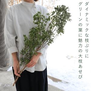ドライフラワー あせび 大枝 60〜80cm ...の詳細画像1