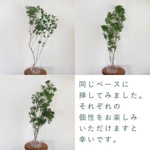 ドライフラワー あせび 大枝 60〜80cm ...の詳細画像5