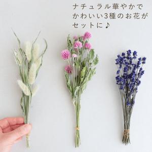 春色かわいい ドライフラワー3種セット 千日紅...の詳細画像1
