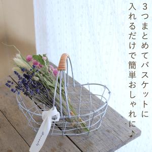 春色かわいい ドライフラワー3種セット 千日紅...の詳細画像2