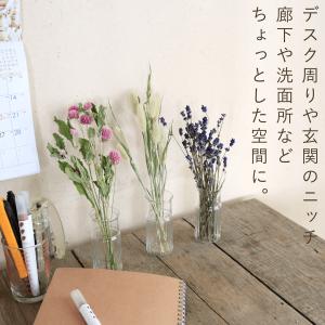 春色かわいい ドライフラワー3種セット 千日紅...の詳細画像4