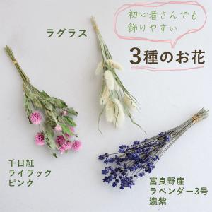 春色かわいい ドライフラワー3種セット 千日紅...の詳細画像5