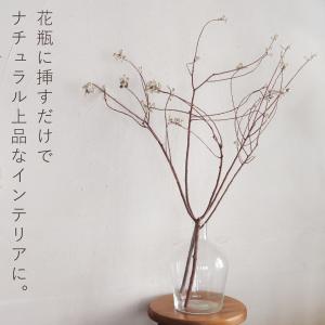 枝もの ナンキンハゼの木 ドライフラワー ◆ ...の詳細画像2