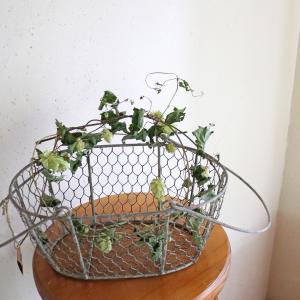 北海道産 ホップ リース ドライフラワー ( ...の詳細画像1