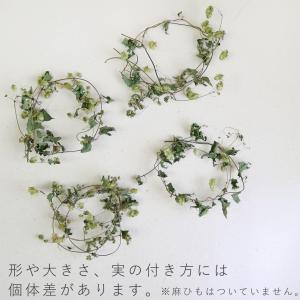 北海道産 ホップ リース ドライフラワー ( ...の詳細画像4