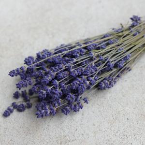 【 富良野産 ドライフラワー 】 ラベンダー ３号 こいむらさき 濃紫 / 北海道産 ハンドメイド ナチュラル インテリア ハーブ