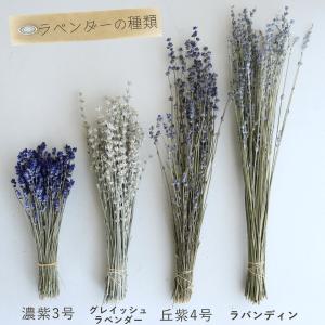 【 富良野産 ドライフラワー 】 ラベンダー ...の詳細画像4