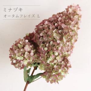 ネイティブフラワー ドライフラワー】グレビレア ゴールドリーフM