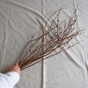 【大枝 長さ50〜80cm】 ドライフラワー ...の詳細画像4