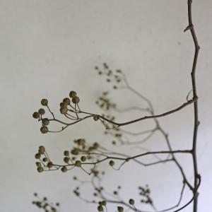 【 ロング丈 約60〜80cm】ドライフラワー...の詳細画像5