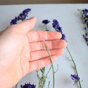 ラークスパー ( ちどり草 )濃いブルー / ...の詳細画像2