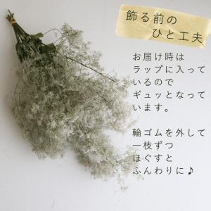 【ドライフラワー】スモークツリー グリーン 系...の詳細画像5