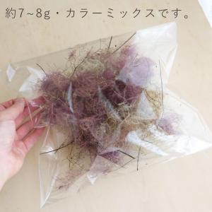 ドライフラワー スモークツリーヘッド カラーミ...の詳細画像1
