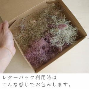 ドライフラワー スモークツリーヘッド カラーミ...の詳細画像2