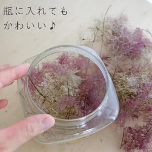 ドライフラワー スモークツリーヘッド カラーミ...の詳細画像3
