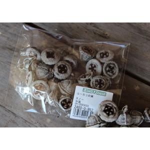 ユーカリの実 スノー/木の実(大地農園)の詳細画像1