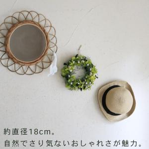 【プリザーブドフラワー 約直径18cm】フェア...の詳細画像2