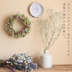 アブリコ ◆ ドライフラワー ◆アプリコットカ...の詳細画像3