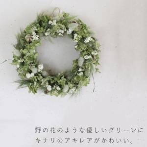 jardin de fleurs - お花畑の...の詳細画像2
