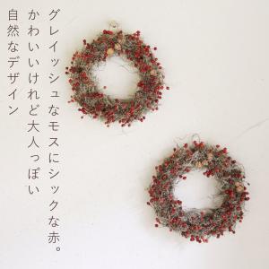野バラの実のリース ◆大人気の野バラの実のシッ...の詳細画像1