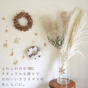 野バラの実のリース ◆大人気の野バラの実のシッ...の詳細画像2